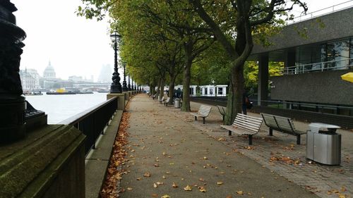 Empty road in city