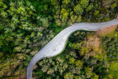 High angle view of road amidst trees in forest