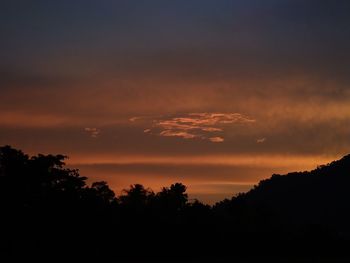 Low angle view of silhouette trees against sky during sunset