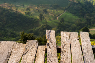 Close-up of wooden fence against trees