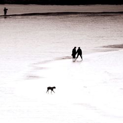 People walking with dog during winter