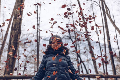 Rear view of person on snow covered tree during winter