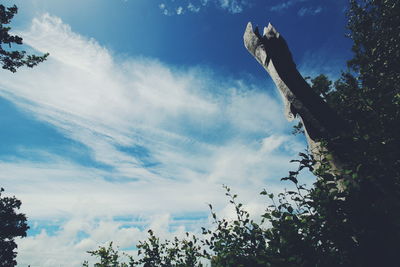 Low angle view of trees against sky