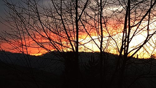 Silhouette bare trees against orange sky