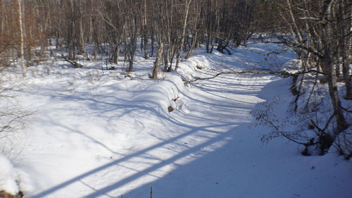 High angle view of snow covered field