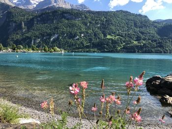 Scenic view of lake by mountain against sky