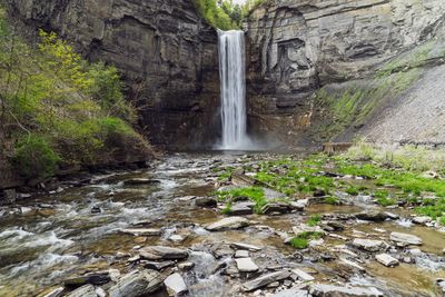 Scenic view of waterfall in forest