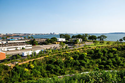 Plants and trees in city against clear sky