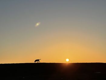 Silhouette of a sunset