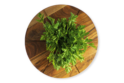 High angle view of plants against white background