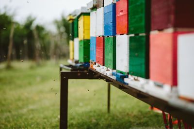 Close-up of multi colored pencils in playground