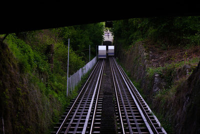 View of railroad tracks along trees