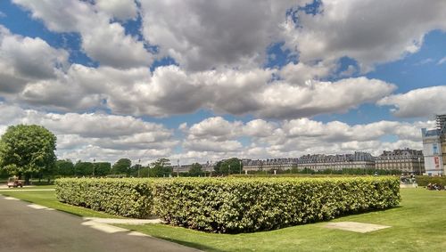 Scenic view of field against cloudy sky