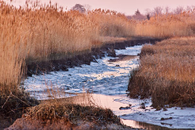 Scenic view of frozen lake during winter