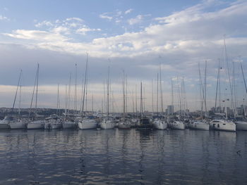 Sailboats moored in harbor