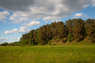 Trees on field against sky