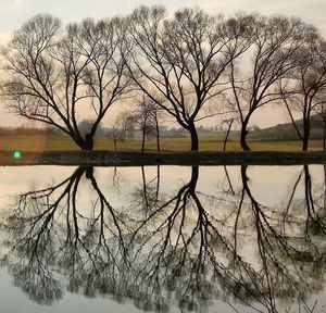 Bare tree by lake against sky during winter