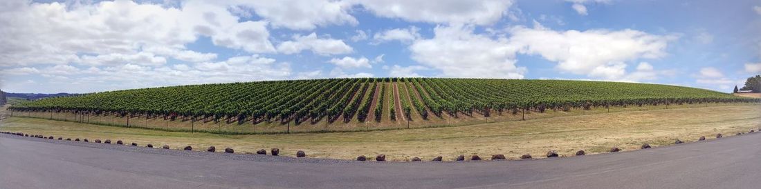 Panoramic shot of road by land against sky