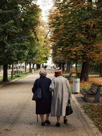 Rear view of friends walking on footpath amidst trees in park