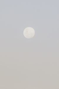 Low angle view of moon against sky at night