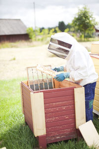 Bee-keeper at work