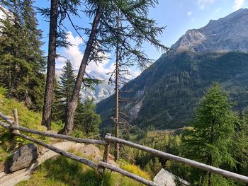 Scenic view of trees and mountains against sky