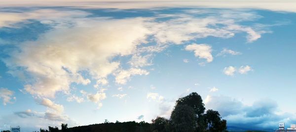 Low angle view of trees against cloudy sky