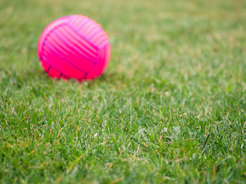 Close-up of pink ball on field