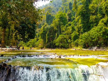 Scenic view of trees by water