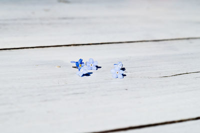 High angle view of multi colored paper on table