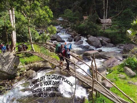 tree, men, lifestyles, water, bridge - man made structure, leisure activity, person, connection, high angle view, rock - object, forest, transportation, footbridge, large group of people, nature, river, walking, tourist, railing