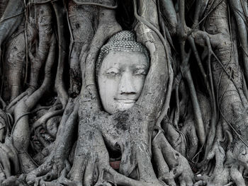 Statue of buddha in temple