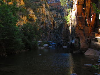 Scenic view of trees by rock formation