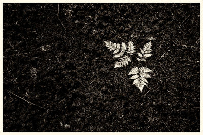 Full frame shot of illuminated lights