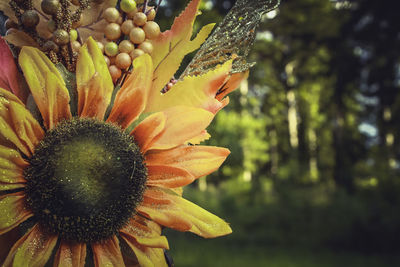 Close-up of flowering plant