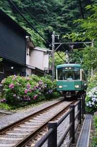 Train on railroad track