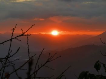 Silhouette of trees against orange sky