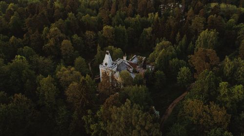 High angle view of castle in forest