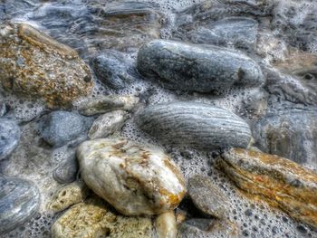 Close-up of rocks at shore