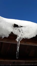 Close-up of icicles against clear sky