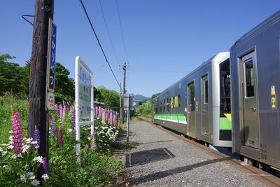 Train on railroad track against clear blue sky and flower