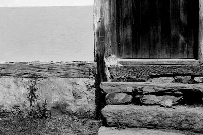 Close-up of lizard on wall