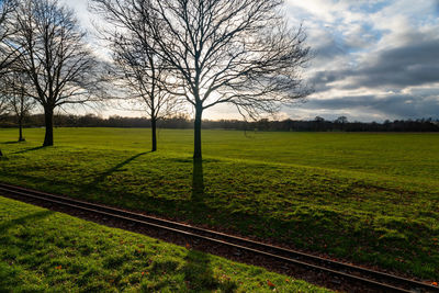 Bare trees on railroad track against sky