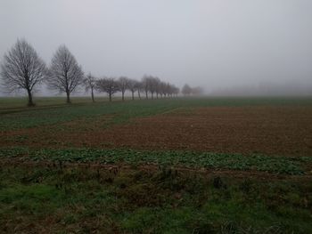 Scenic view of field against sky during foggy weather