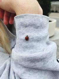 Close-up of insect on woman hand while sitting at cafe outdoors