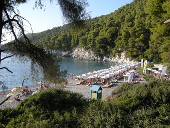 Scenic view of river with trees in background