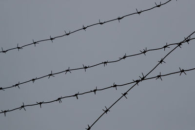 Low angle view of barbed wire against clear sky