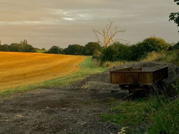 Scenic view of field against sky