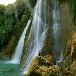 Scenic view of waterfall in forest