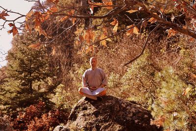 Man doing yoga on rock against trees in forest